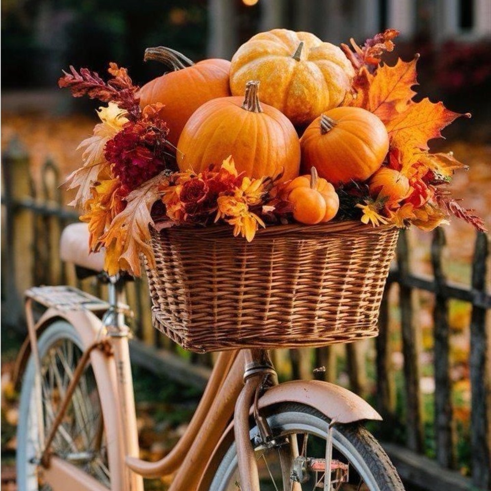 Fall season is here . Keep tune 🎃👢🧥🌂🍁🍁🍁🍂